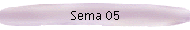 Sema 05